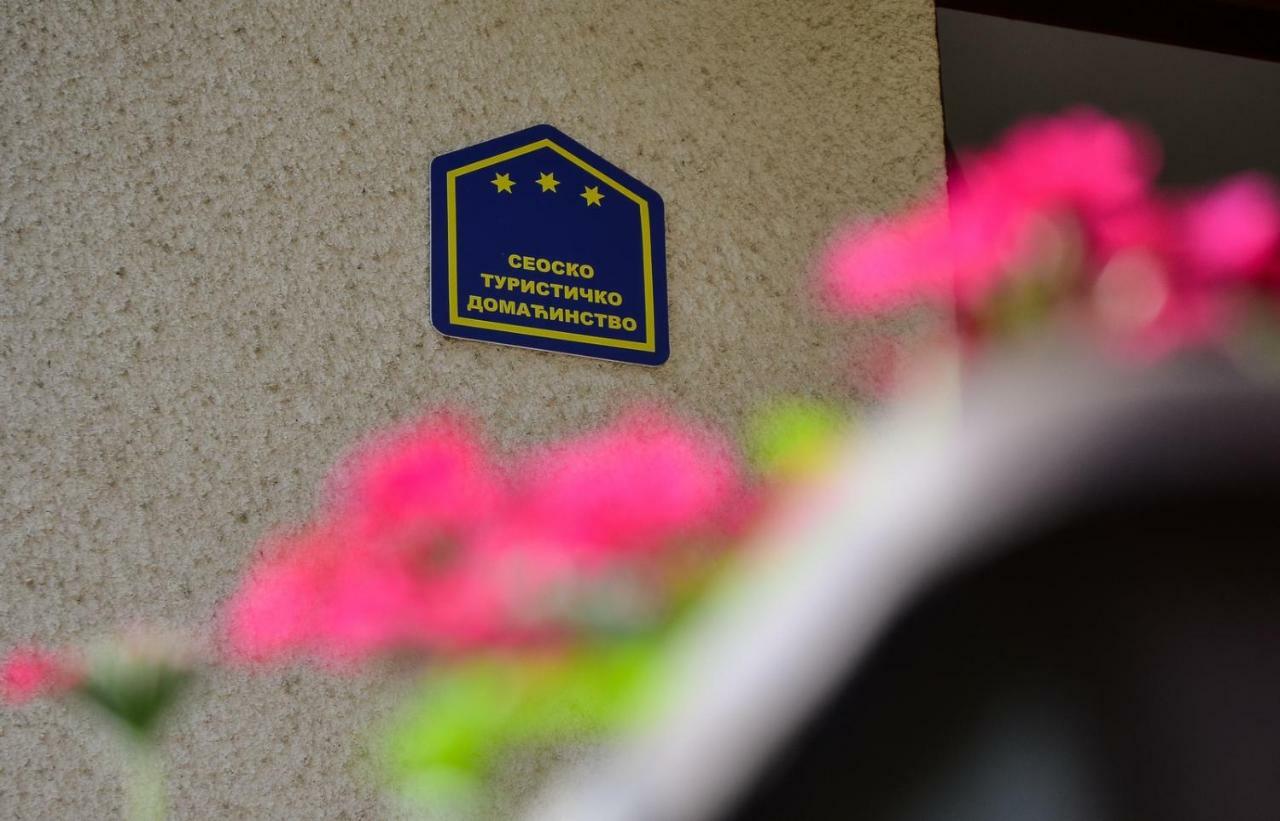 Kuca Za Odmor Radovanovic Despotovac Eksteriør billede